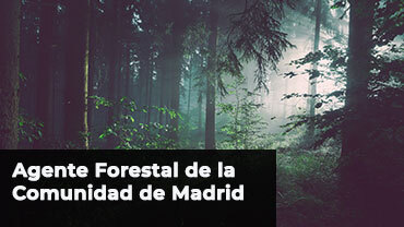 Agente-forestal-de-la-comunidad-de-Madrid